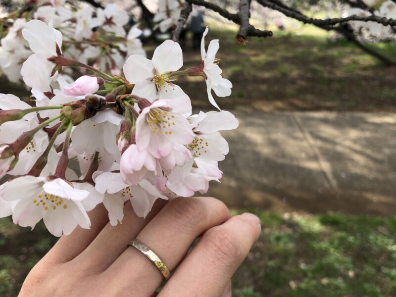 Outing with Ring on the Rings, Aalto Exhibition at Setagaya Art Museum